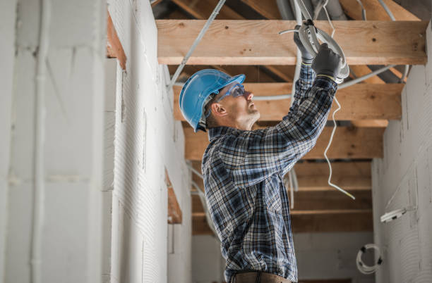 Best Electric Panel Repair  in Wellsville, MO